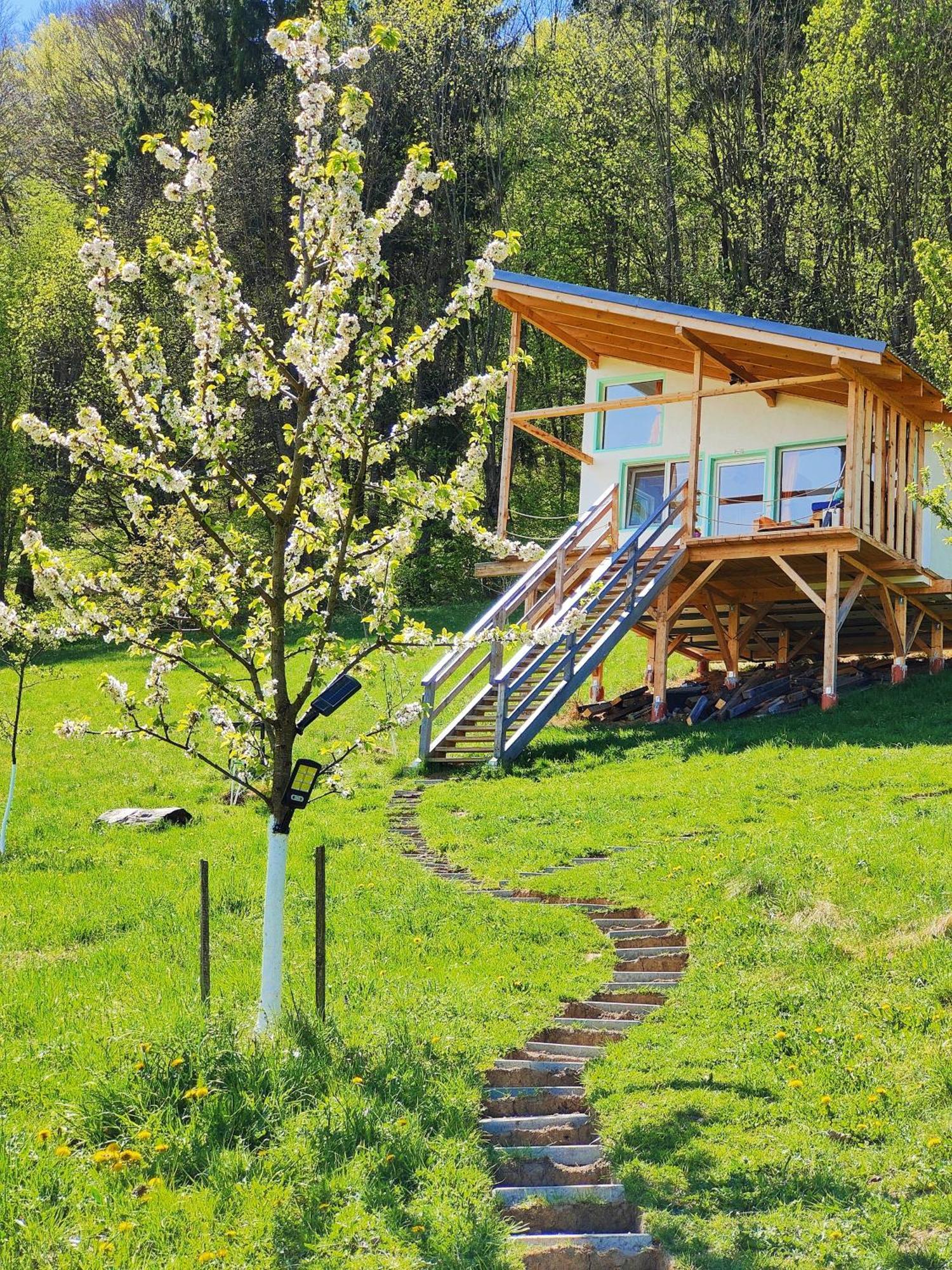 Rainbow Chalet Бран Екстер'єр фото